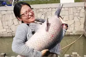 搞笑精选：朋友媳妇刚考到驾照，今天去买车图片