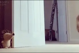 有趣动态图：狗鼻子白长了图片