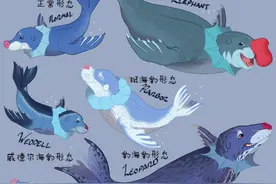 口袋妖怪亚种，原来长这样吗？图片