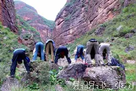 幽幽峡谷，浓浓情谊图片