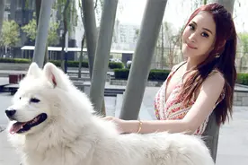 二婚妻子给我买车，可孩子出生后我才看清她真面目图片