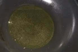家常豆角炒肉做法 豆角炒肉家常做法百吃不厌图片