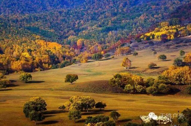 国庆节去草原天路、木兰围场怕堵,郑州自驾游可以这样走