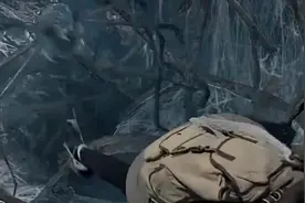王俊凯被蜘蛛丝缠住，文淇想出奇招，霸气救助王俊凯视频封面