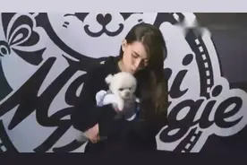 昆凌蔡依林竟然也大秀Freestyle！酷炫了！视频封面