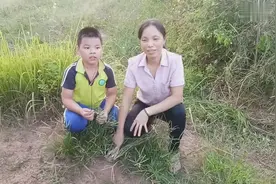 广西灵山，牛根草药，城里面卖得很贵，你们见过这样的药材吗视频封面