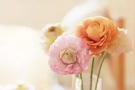 咸阳校园美文老师，我想对您说图片