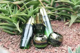 金正文率众赴韩探访农场 中国市场5年目标超5亿图片