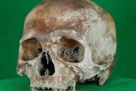 科学家用3D扫描再现著名沉船玛丽罗斯号上的头骨图片