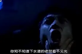 双子神偷：小伙被逼生吞老鼠，承受巨大痛苦后，选择跳楼身亡吗视频封面