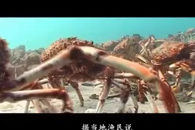 「乐其笔记」变异杀人蟹 腿长竟达6米，却很少人知道