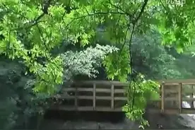 管平湖古琴演奏《流水》，附古琴谱——古琴札记图片