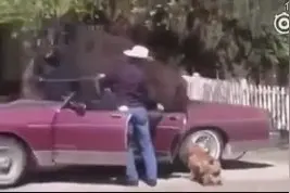 这是传说的大象装冰箱吗？这居然没压扁！图片