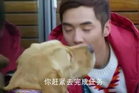 男孩跟狗狗密谋结果不小心从楼上摔下去，狗狗傻傻的看着好可爱视频封面
