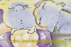 两只猪的爱情故事，感动所有人图片