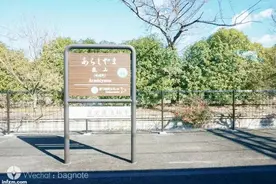 坐标丨在日本京都，我偏爱岚山图片