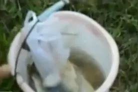 悲剧！男子河塘电鱼结果把自己电死了图片