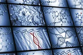 5岁“熊猫血女童”离世 捐献器官换种活法图片