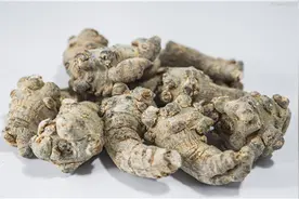 吃三七吃成肝移植 三七跟土三七并不同图片