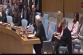 日本申请加入联合国常任理事国，被中国一票否决，哈哈哈哈！视频封面