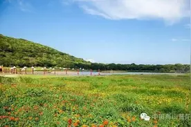 2016国际海岛旅游大会临近，主会场朱家尖要打造一条最美海岛风景线！图片