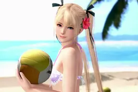 《死或生 沙滩排球》将以页游形式登陆PC图片