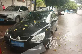 重庆一车主擅自换车标遭处罚 来看看奇葩换标车图片