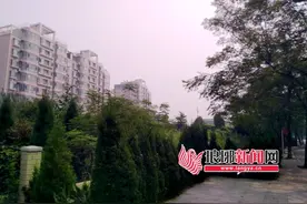 临沂北城一期几无可能再建农贸市场 市民很急切图片