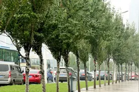 沈阳早高峰遇雷暴天气 汽车堵在3公里开外图片