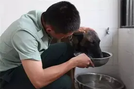 训导员军犬：再见苍狼，我最亲爱的战友！图片