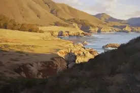 媒介剂，小集锦图片