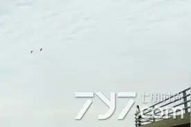 周公解梦：梦见自己暗恋的男生图片