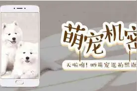 萌宠机密，魅族Flyme教你给萌宠来个大自拍图片