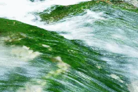 东莞人有望喝上西江水，看看哪些镇街能喝“头啖汤”！图片