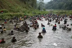 元阳县举行一年一度吃新米饭众人捞鱼活动场面好壮观啊图片