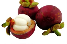 山竹的功效：降脂瘦身抗氧化图片