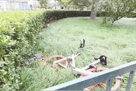摩拜单车遭偷只是个别现象 青年组团做运营猎人图片
