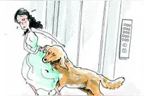 猛犬电梯冲出8岁女孩受惊不敢坐电梯图片