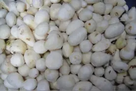 上海削皮芋头检出二氧化硫？实为江西专家称过白就有问题图片