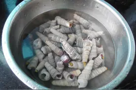 辣炒海螺的做法图片
