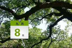 10元就能从中山坐大巴到广州？有关部门这样说！｜速览图片