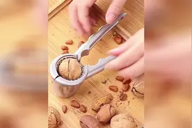 核桃剥壳器正确的使用方法，核桃夹子，山核桃去壳剥皮简单方便