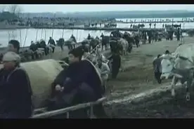 陈毅元帅有一句名言：“淮海战役的胜利，是独轮小车推出来的”！视频封面