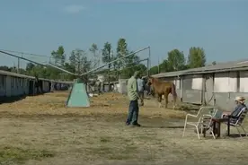 男孩不懂餐桌礼仪遭老人嫌弃，老人意外得知男孩被母亲抛弃视频封面