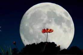 中秋歌单放送：因为词爱上的歌，文末有彩蛋图片