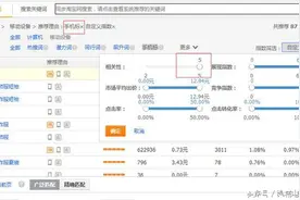 锦城电商运营：新人如何快速掌握直通车?图片