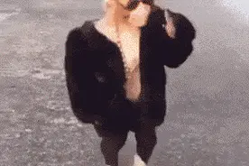 爆笑GIF图第1269：史上最会耍帅的猴子！没有之一！图片