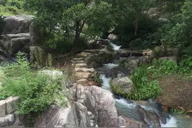 我可能要浪迹天涯，职业我再无牵挂图片