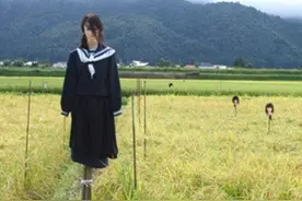日本农村稻草人中看不中用，中国农田里简单粗暴的神器完胜它！图片