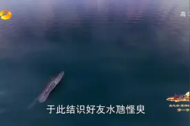 太子长琴为救挚友，不惜舍弃仙位被贬下凡，被人取元神铸成焚寂剑视频封面